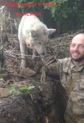 Украинские военные показали невероятное крутое животное-талисман (видео)
